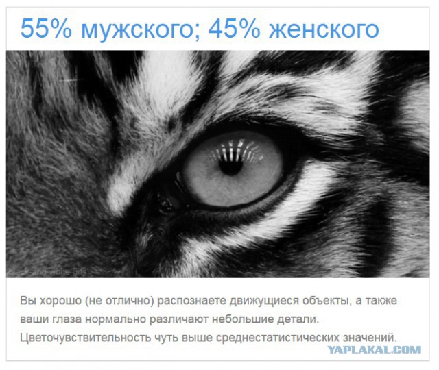 Тест: Вы воспринимаете этот мир глазами мужчины или женщины?