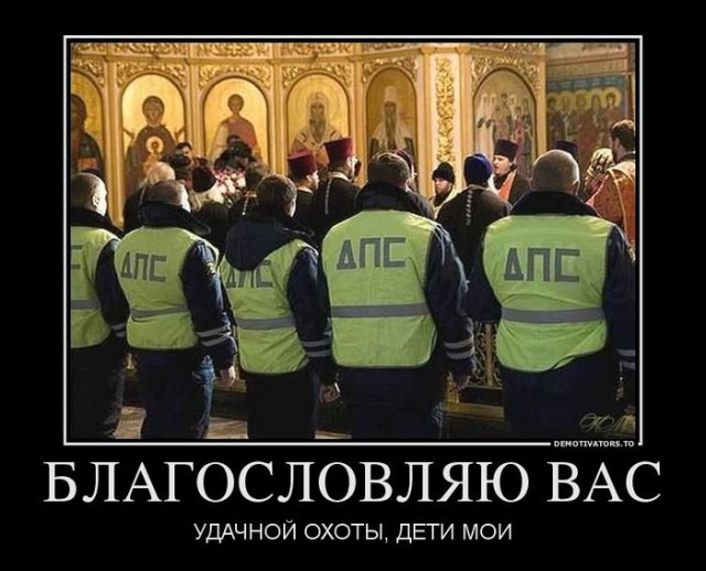 Подборка интересных и веселых фото