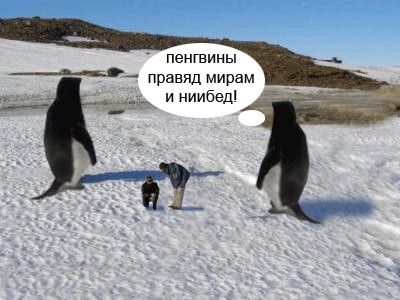 Фотожаба: Полярники окружают!