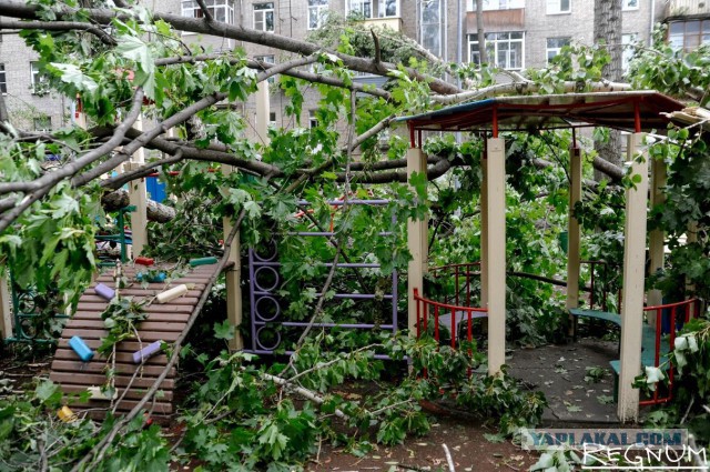 Сильная гроза в Москве и ее последствия