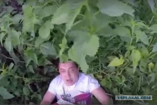 Наказал "быдло"