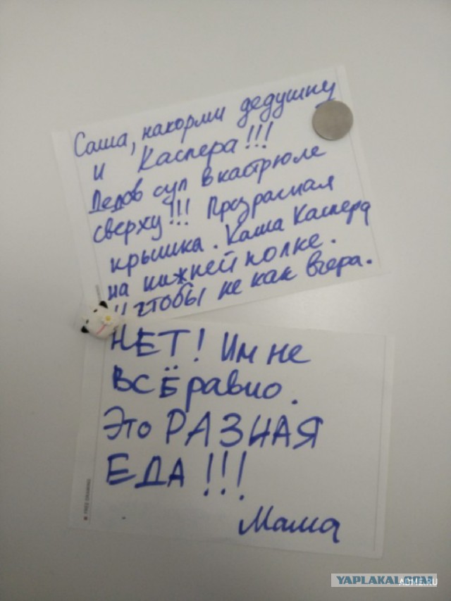 Весёлые картинки
