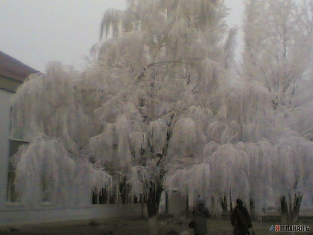 Поездка в Волгоград (фото)