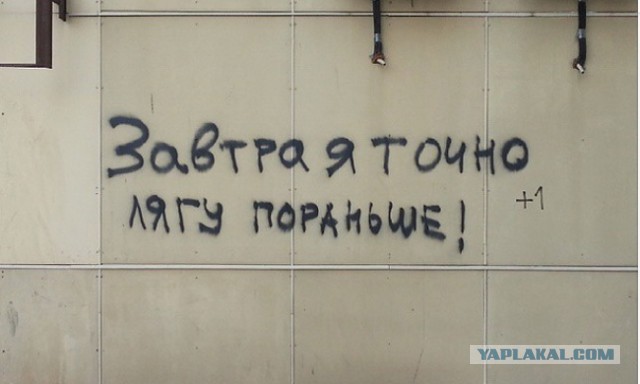 Всячина. 33 картинки