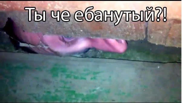 Курица vs. Батя