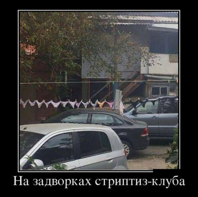 150 картинок для поднятия настроения!