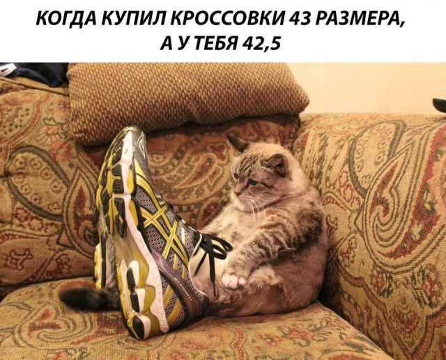 Нестандартный юмор