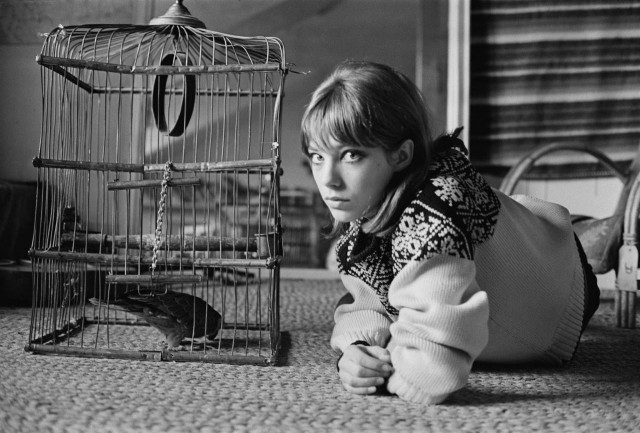 The special edition: Jane Birkin