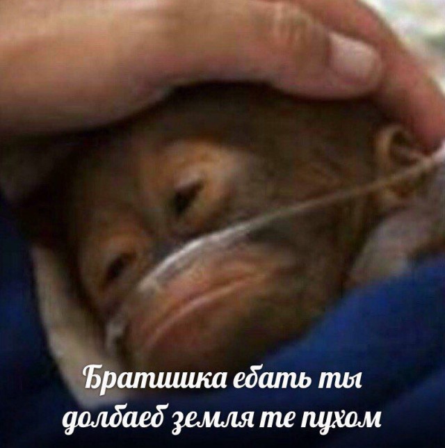 За что же их так обзывают то?