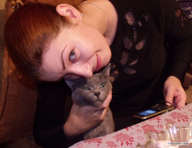 Возьмите котенка!