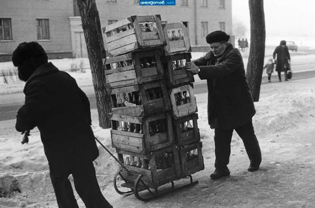 Подборка архивных снимков