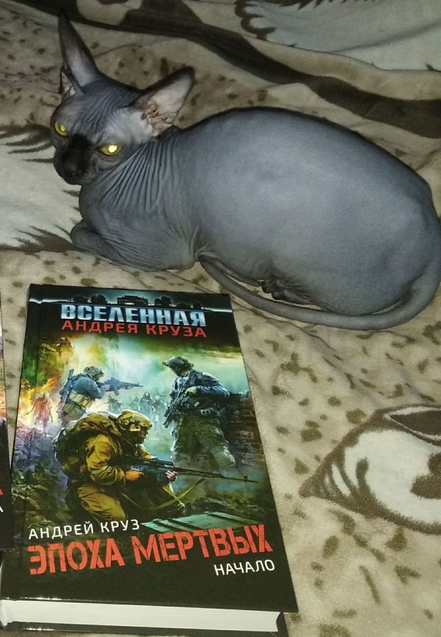 А кто какую книгу читает?