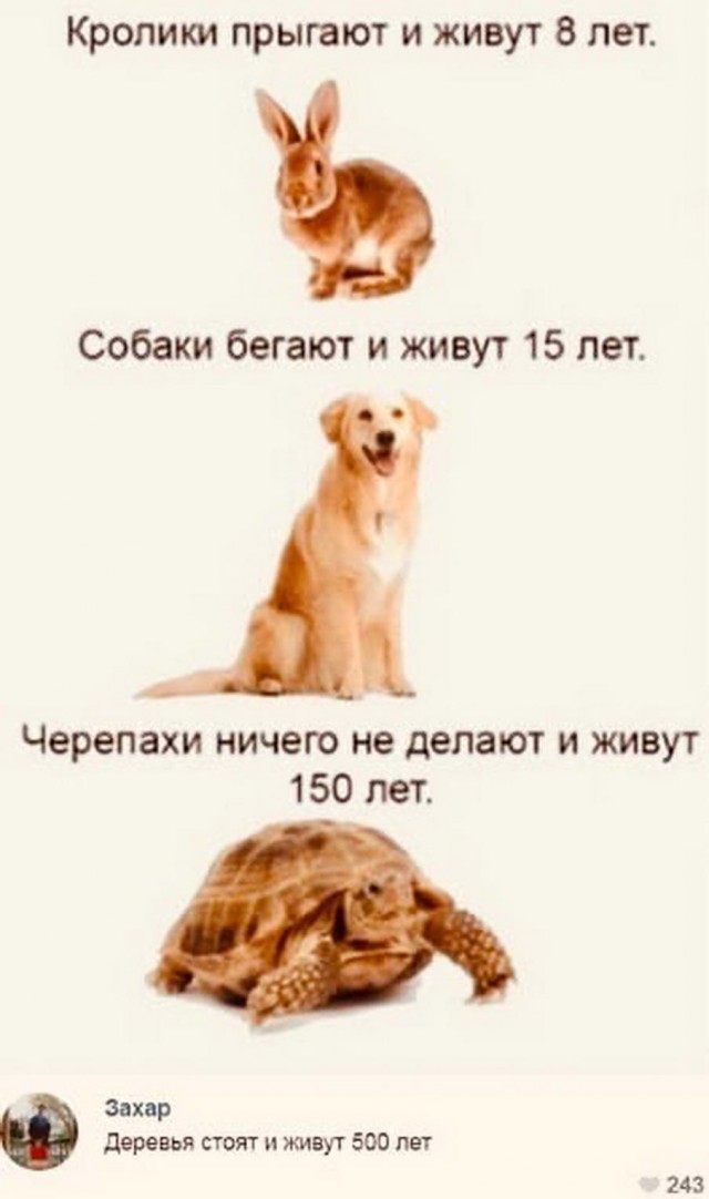 Бредзона 05.07.20