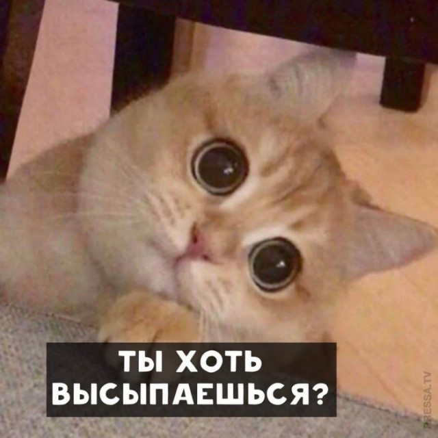 Картинки и мемы для настроения 022