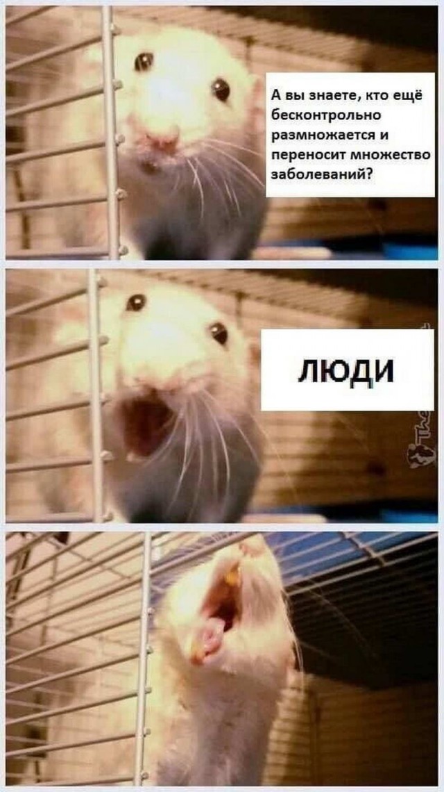 Картинки и мемы для настроения 017