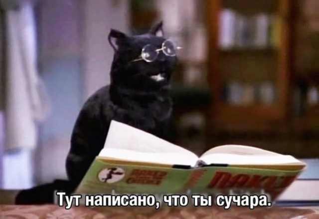 Картинки 01.06