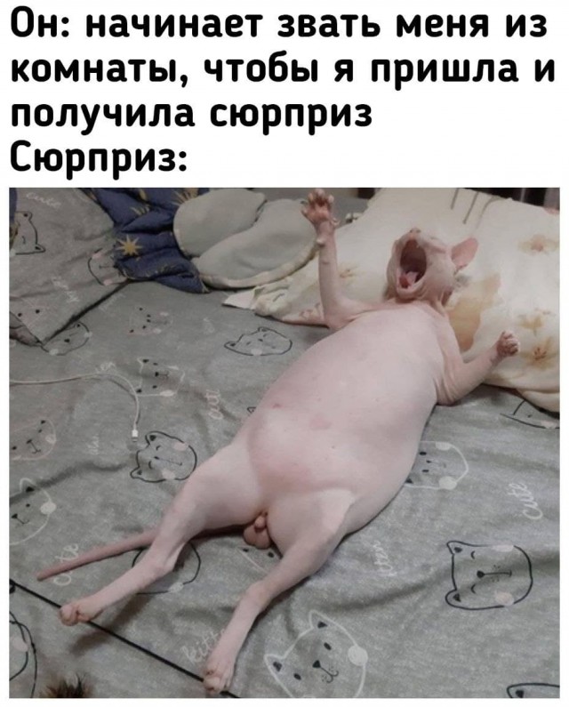 Мемасы (Пошлятина и мат)