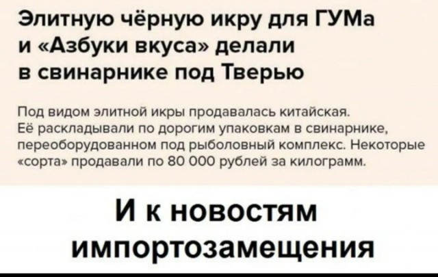 Человек собаке друг и другие картинки и мемы  под настроение
