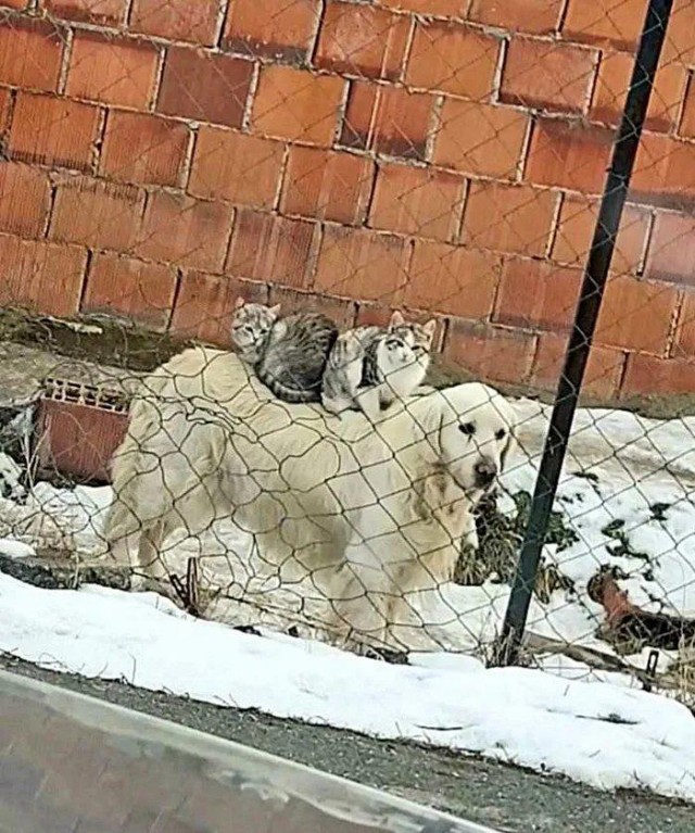 Так себе картинки 15.02.22
