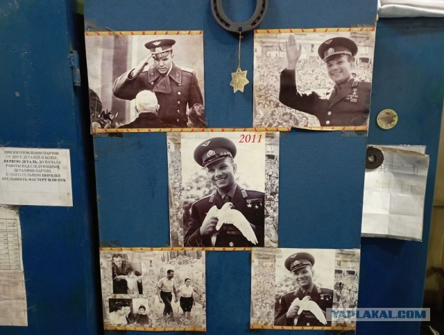 Настенная жизнь обычного завода