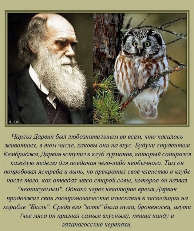 70 удивительных фактов