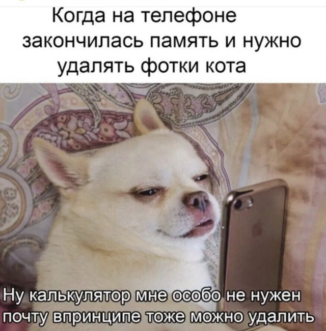 Баянисто-небаянистый юмор 12.04.22