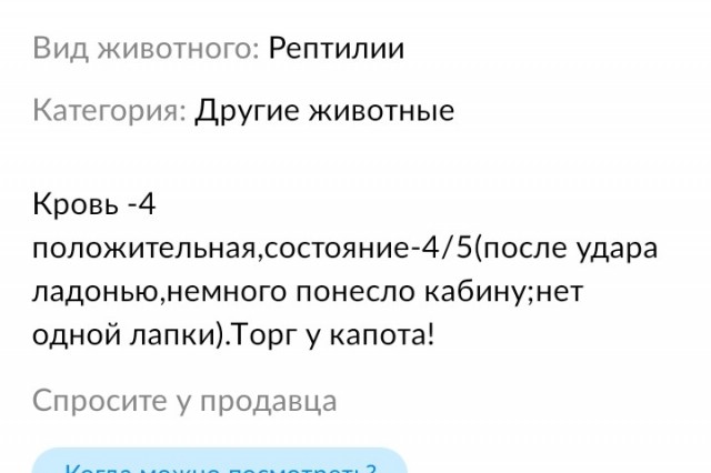 Немного картинок с надписями 21.06.22