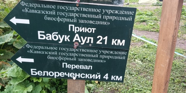 Фишт