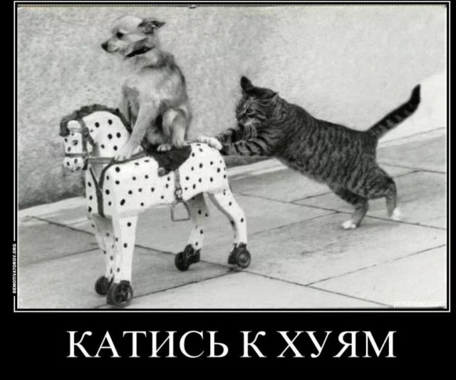 На мобилизационных сборах произошёл конфликт, русского заставили извинится за то что он сказал «буду резать казахов»