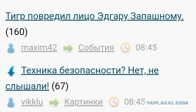 Тигр повредил лицо Эдгару Запашному