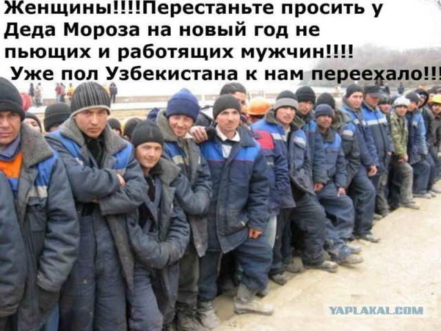 Окопная правда. Она до слёз…
