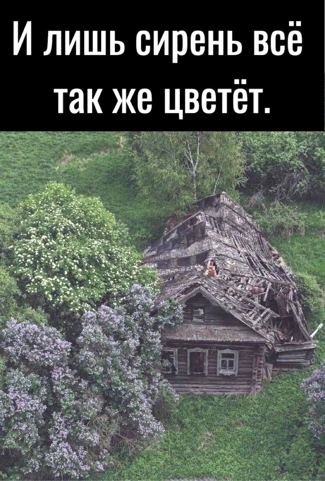 Так себе картинки 08.04.23