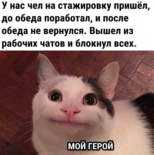 Так себе картинки 27.04.23