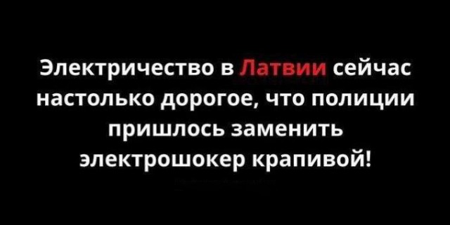 Весёлый полтишок 30.04.23