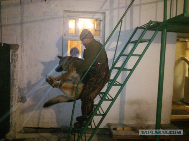 Спасение рядового