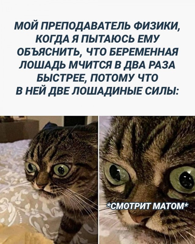 Картинок разной степени еб@нутости пост.