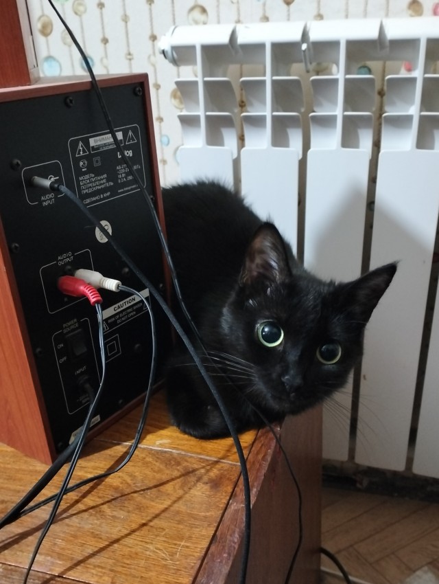 Страшна, вырубай!