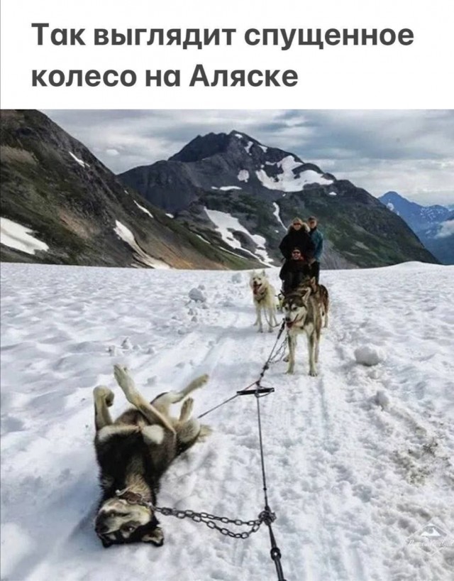 Десять пятничных картинок
