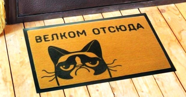 Забавные комментарии из социальных сетей (13.05.24)