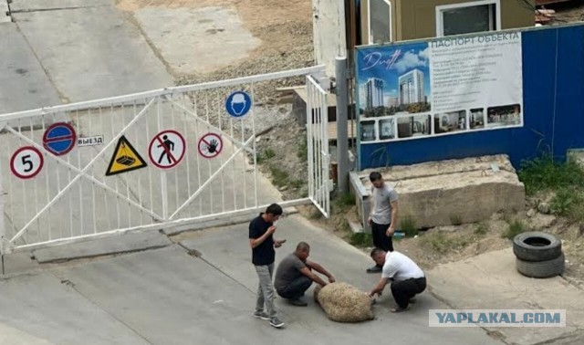Хуситы взорвали нефтяной танкер “CHIOS Lion”