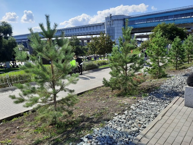 Деревенская Америка - 10