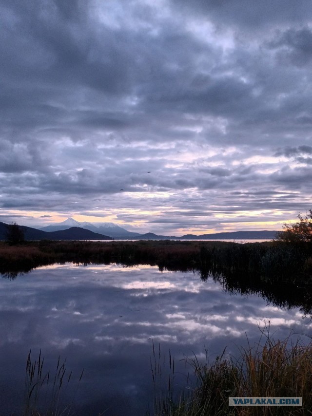 Идеальное отражение
