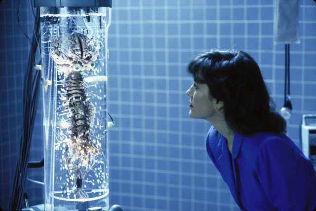 Человеческий мозг - интересные факты