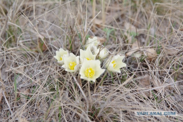 Сейчас бы поваляться на траве