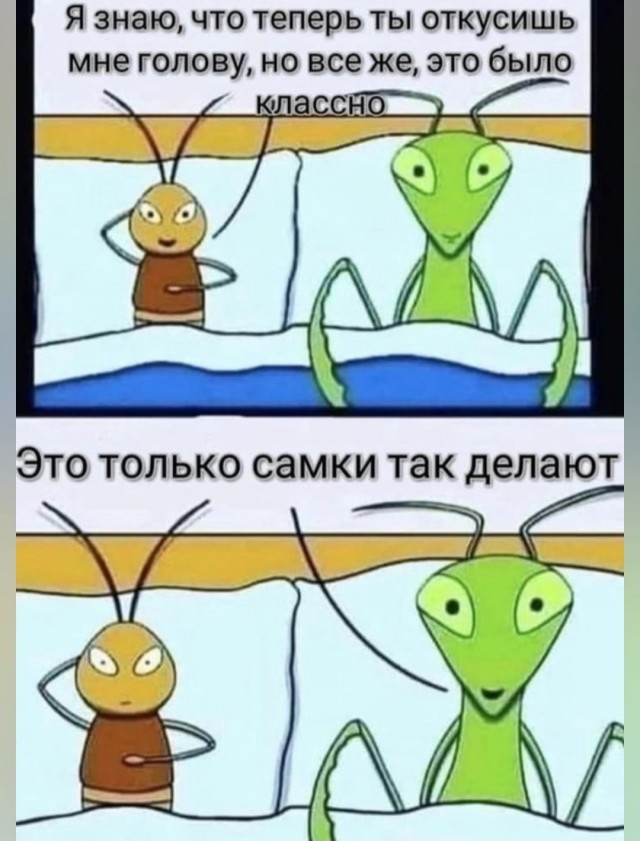 Веселые картинки в пятницу 25.02
