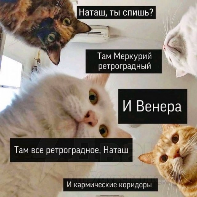 Всем планетозависимым. Warning!