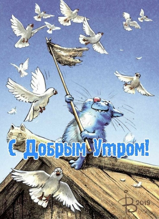 Прикольные и просто красивые картинки 22.08.2025