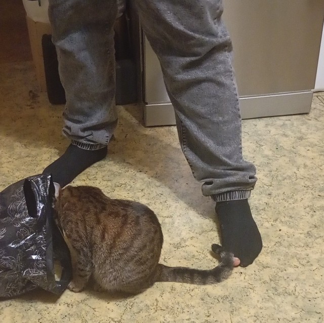 Паря в гости заехал.