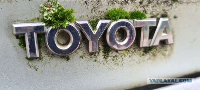 У меня Toyota