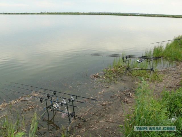 Рыбалка на "платнике".